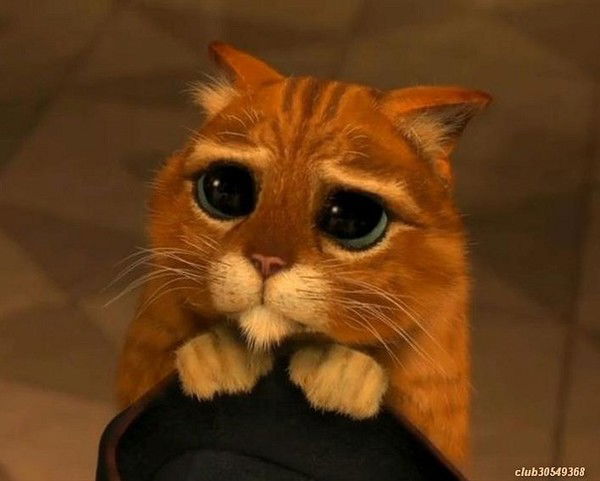 Мария Щербакова