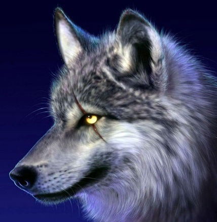 Алексей *********