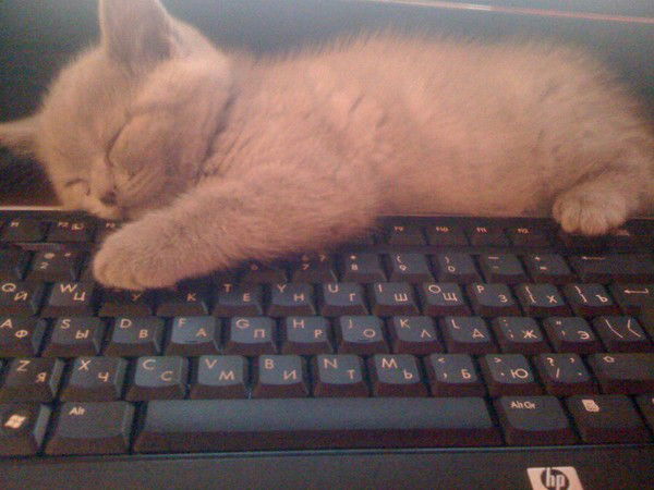 Малик Каленов