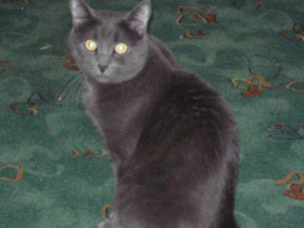 Наташа Воробьева