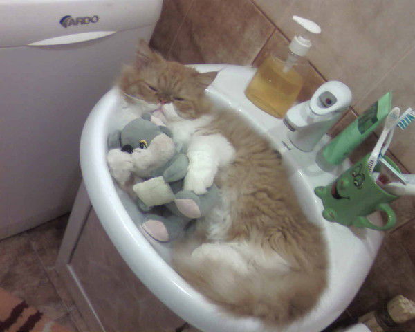 Евгения Проскурина