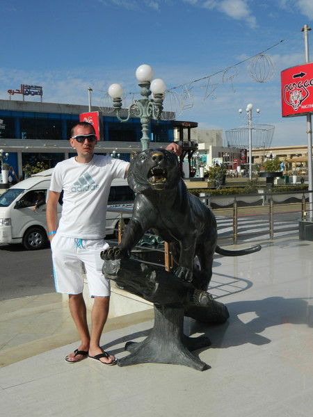 Дмитрий Малярчук