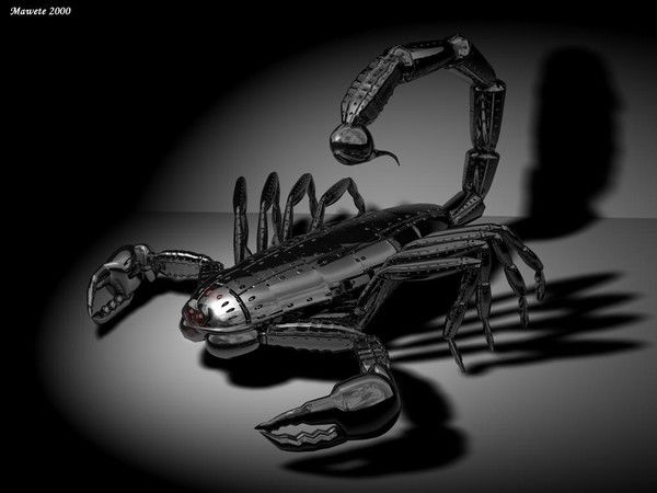 Арман Арнауов