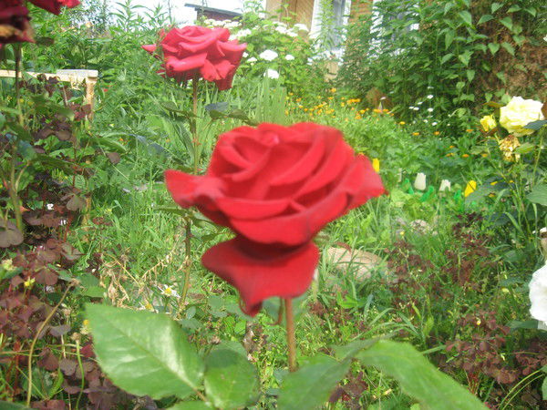 Отдел Культуры Максатиха