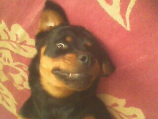 Сергей Филюшкин