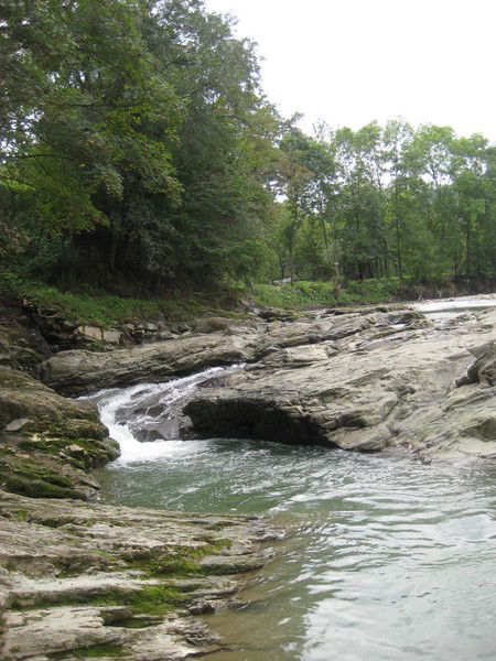 Дина Клименко