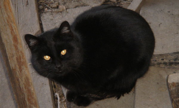 Роман Клименко