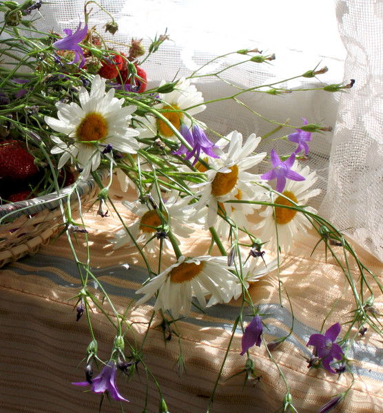 Татьяна Тимирханова