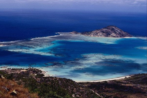 Светлана Глебова