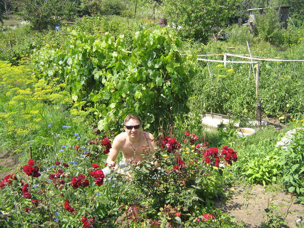 Владимир Фролов