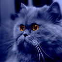 Ирина Юркина