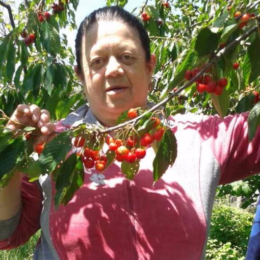 Набисат Ахмедова