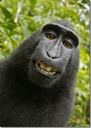 Дмитрий Бажин