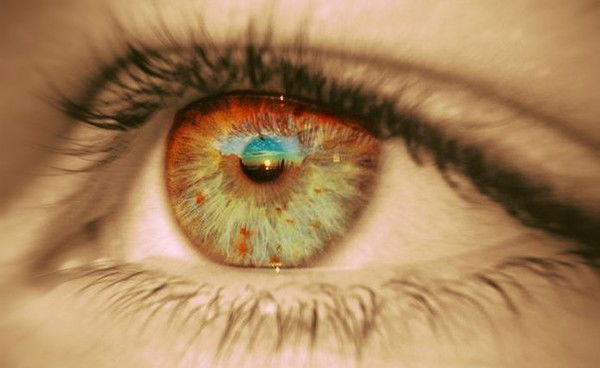 Людмила Янушоните