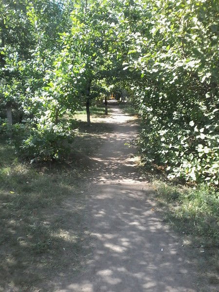 Анар Токтыбаева