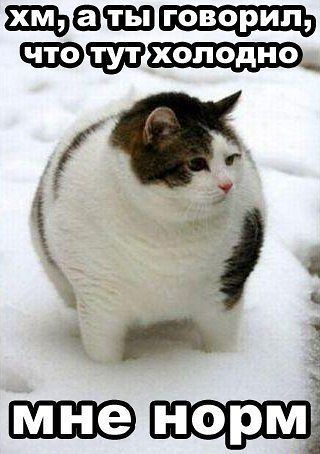 Кирилл Вялков