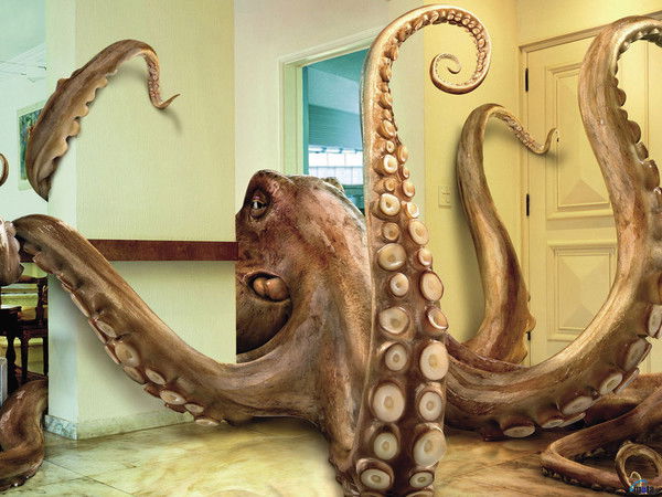 Евгений Лахтин