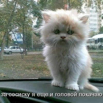 Владимир Минский