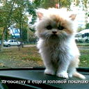 Владимир Минский