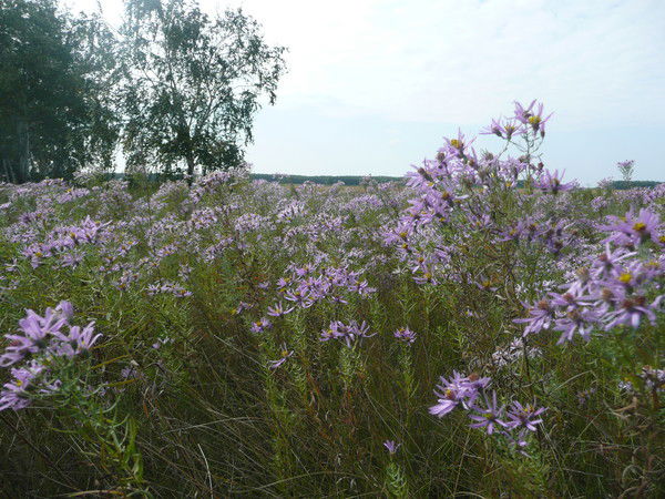 Валентина Обабкова