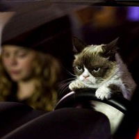 Ангелина Зотикова