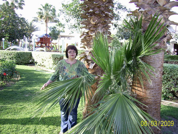 Ольга Соловьева