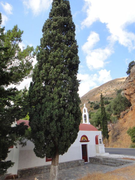 Римма Новикова