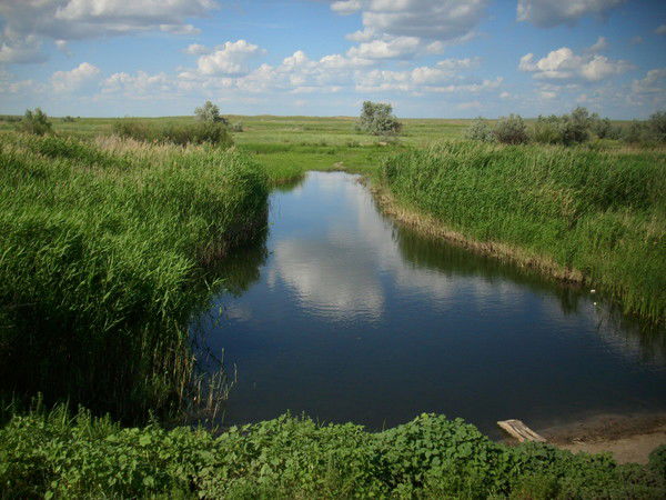 Нургали Асанов