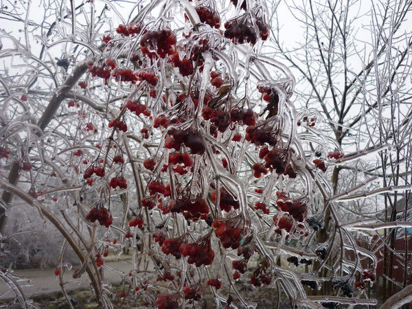 Геннадий Кудряшов
