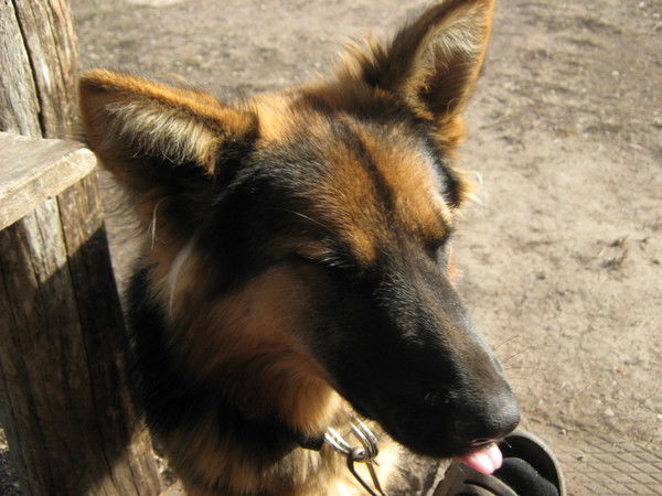 Алекс Кондратьев