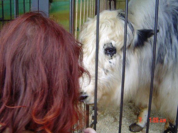 Григорий Васильченко