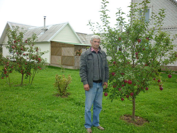 Владимир Мищенко