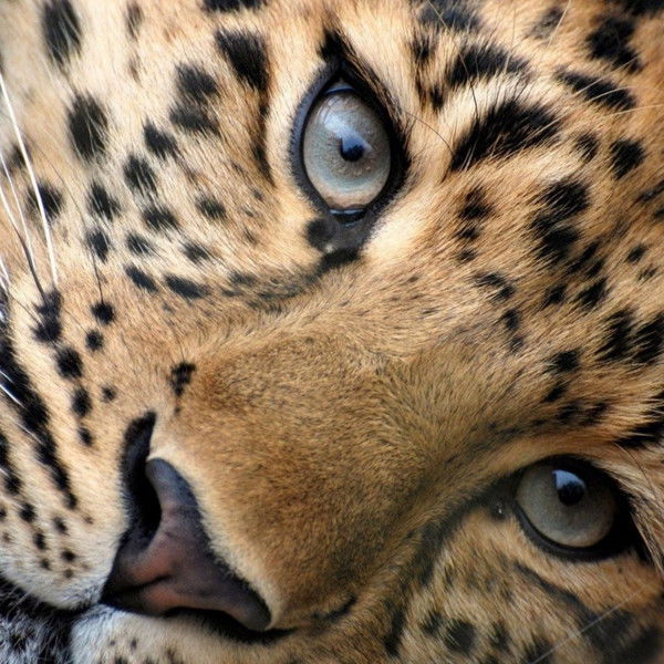 Настя Маршина