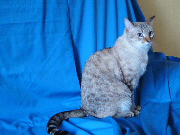 Наталья Ботвиньева