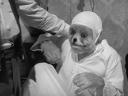 Максим Бригинец