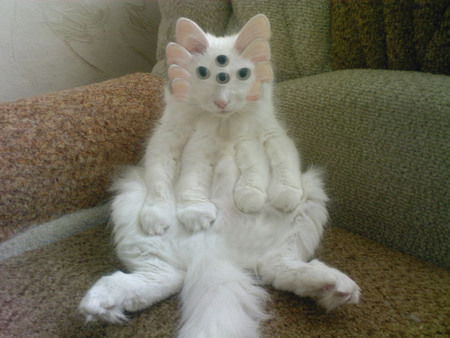 Вокзальный Насяльника