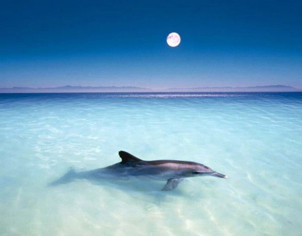 Григорий Васюков