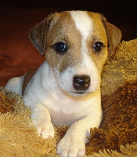 Саша Жидких