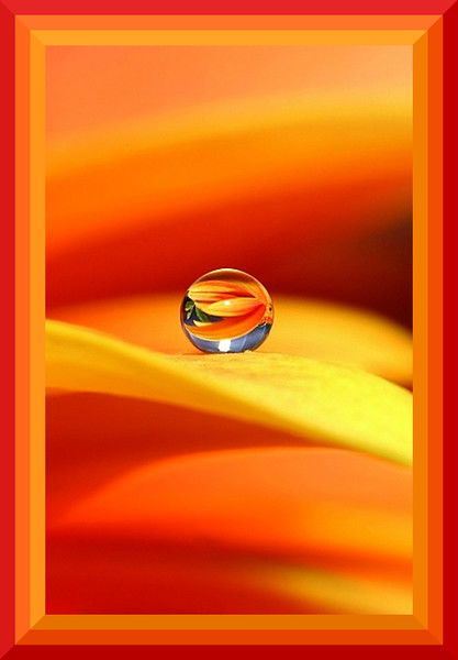 Душа Мира Пермь