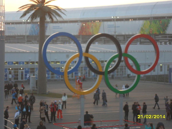 Ирина Урсаева