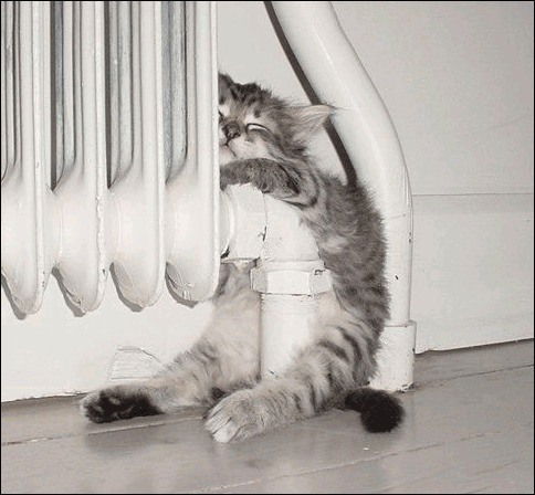 Игорь Смирнов