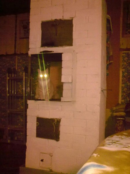 Ирина Васина