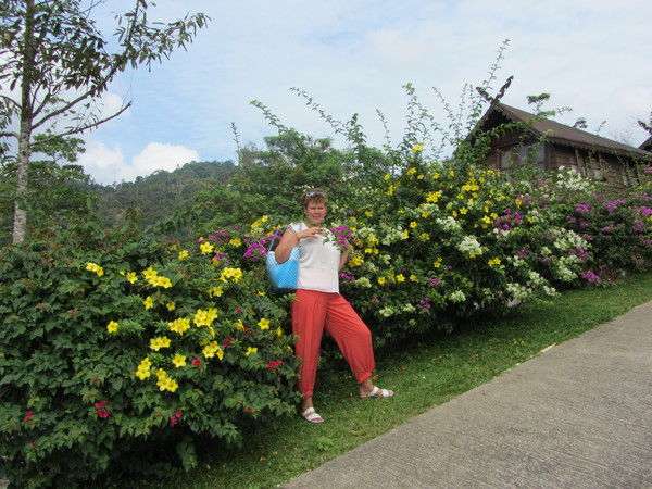 Иванова Ирина