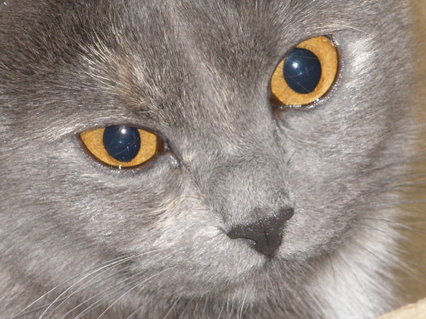 Татьяна Бондаренко