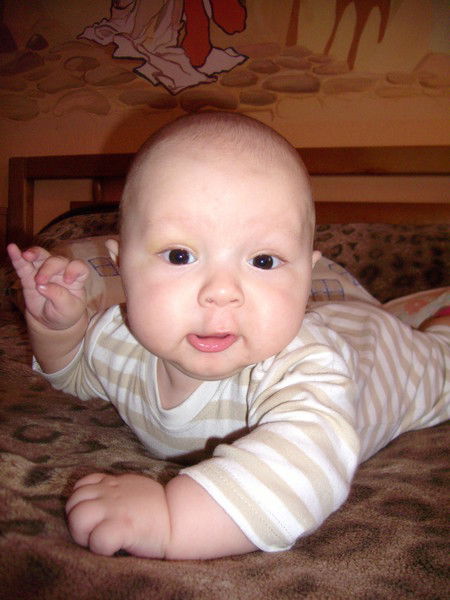 Александр Гребень