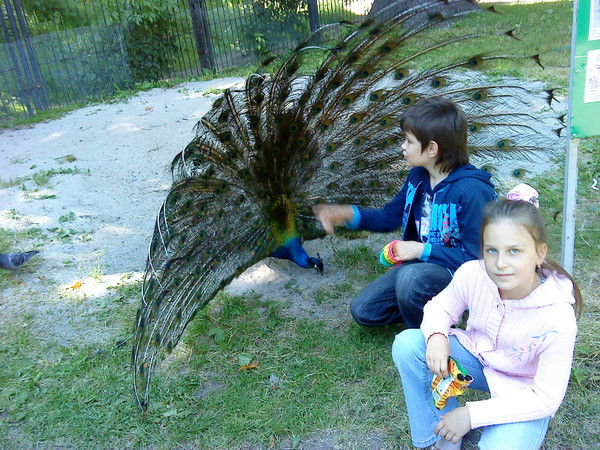 Ольга Корниенко