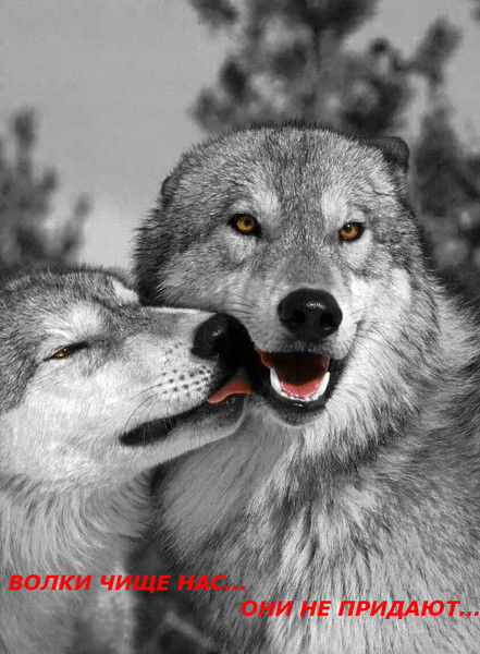 Ирина Простокина