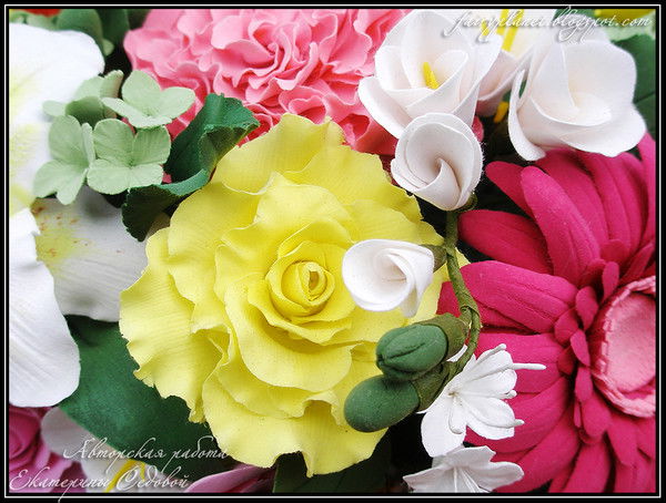 Елена Седова