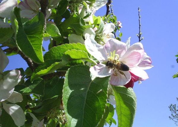 Любовь Дрягина