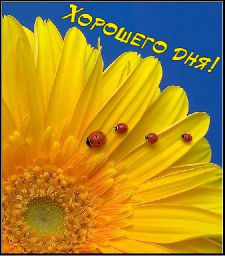 Стат.отдел Глубоковская Црб ,